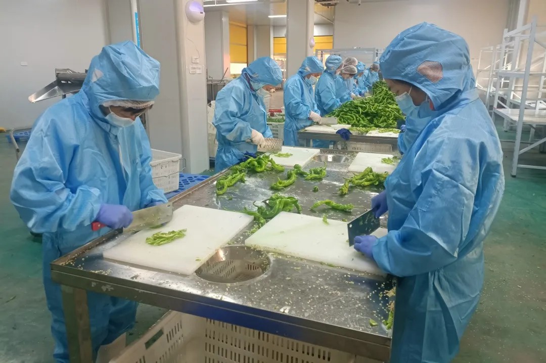 토토 검증 사이트 검증 사이트